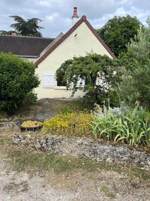 La Petite Maisonnette Saint-Georges-sur-Cher Kültér fotó